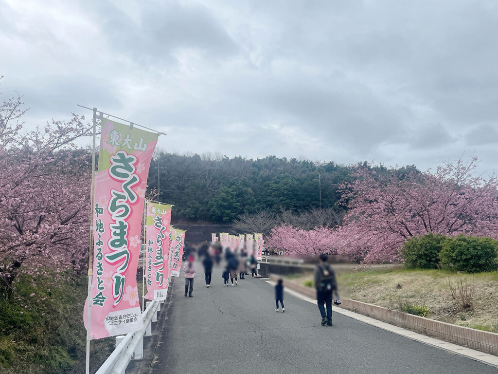 東大山河津桜祭り会場入り口